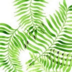 Meet your Posher, Mccall